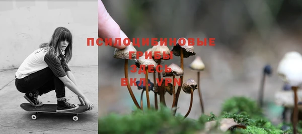скорость Новодвинск