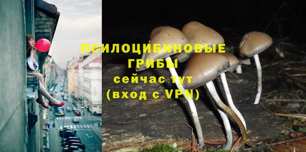 скорость Новодвинск